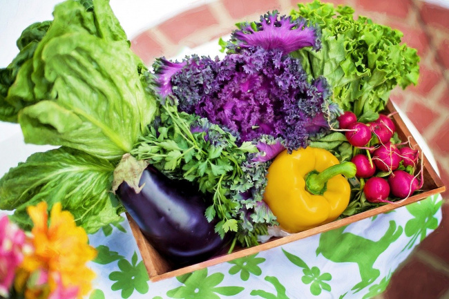 Légumes frais sont sélectionnés pour leurs atouts gustatifs